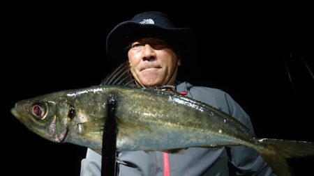 シースナイパー海龍 釣果