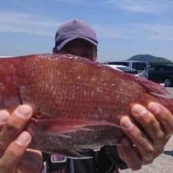 第三共栄丸 釣果