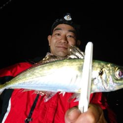 シースナイパー海龍 釣果