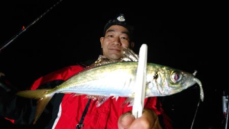 シースナイパー海龍 釣果