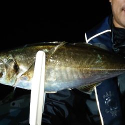 シースナイパー海龍 釣果