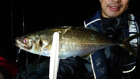 シースナイパー海龍 釣果