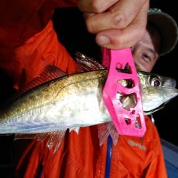 シースナイパー海龍 釣果