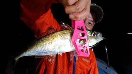 シースナイパー海龍 釣果