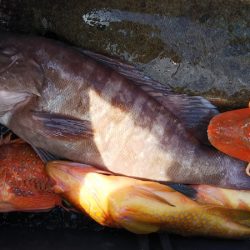 第二龍勢丸 釣果