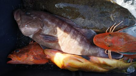 第二龍勢丸 釣果