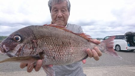 第三共栄丸 釣果