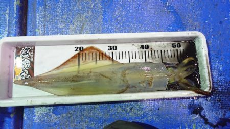 海龍丸（石川） 釣果