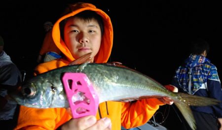 シースナイパー海龍 釣果