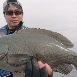 シースナイパー海龍 釣果