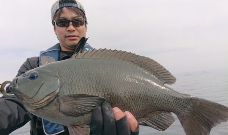 シースナイパー海龍 釣果
