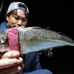 シースナイパー海龍 釣果