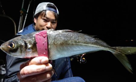 シースナイパー海龍 釣果
