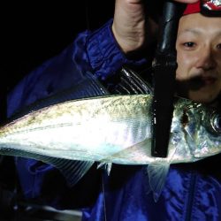 シースナイパー海龍 釣果