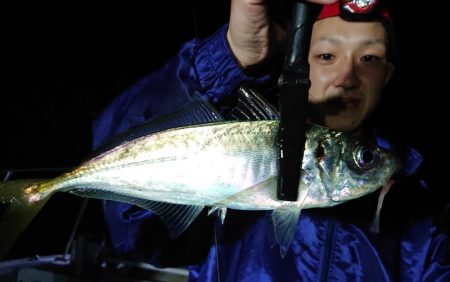 シースナイパー海龍 釣果