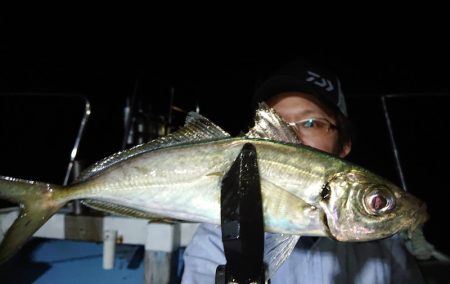 シースナイパー海龍 釣果
