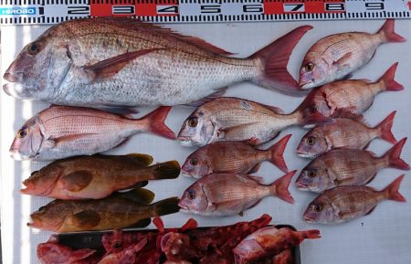 遊漁船　家入 釣果