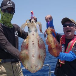 渡船屋たにぐち 釣果