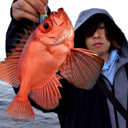 渡船屋たにぐち 釣果