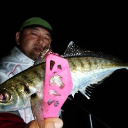 シースナイパー海龍 釣果