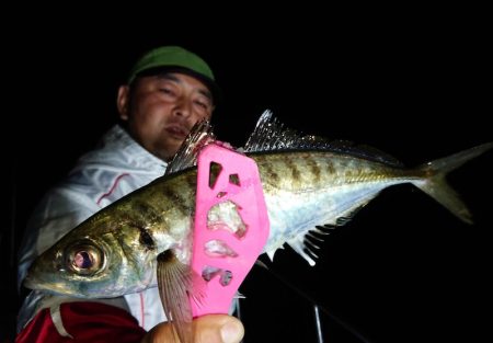 シースナイパー海龍 釣果