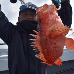渡船屋たにぐち 釣果