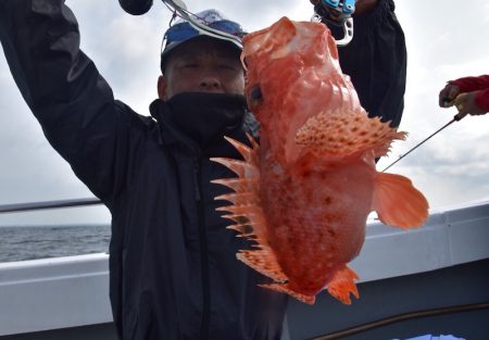 渡船屋たにぐち 釣果