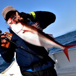 渡船屋たにぐち 釣果