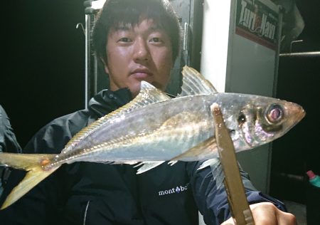 シースナイパー海龍 釣果