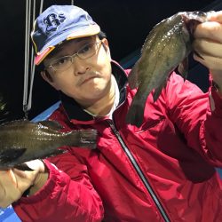 ヤザワ渡船 釣果