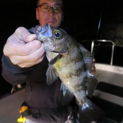 Chase(チェイス) 釣果