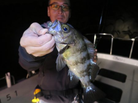 Chase(チェイス) 釣果