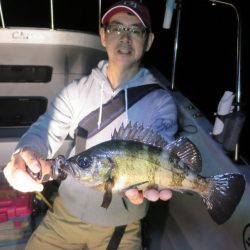 Chase(チェイス) 釣果