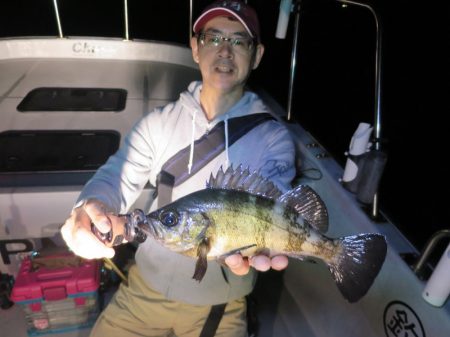 Chase(チェイス) 釣果