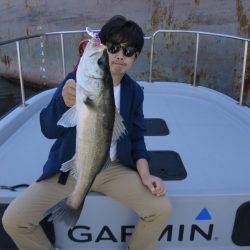 Chase(チェイス) 釣果