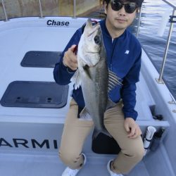 Chase(チェイス) 釣果