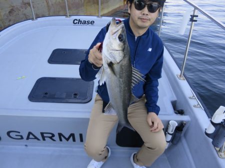 Chase(チェイス) 釣果