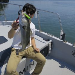 Chase(チェイス) 釣果