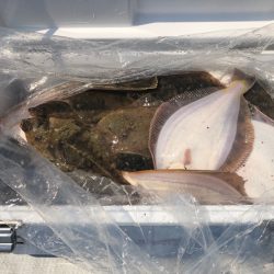 第二 つれたか丸 釣果