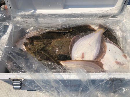 第二 つれたか丸 釣果