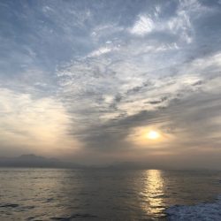 末広丸(熊本) 釣果