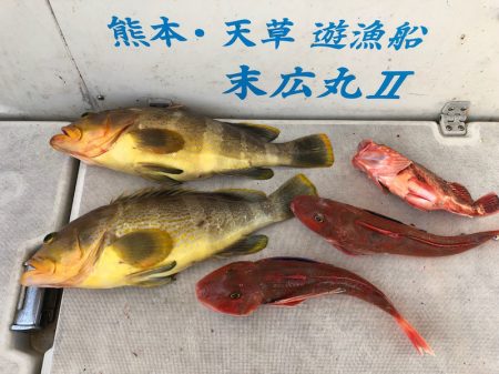 末広丸(熊本) 釣果
