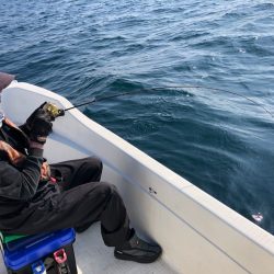 「LaGooN」蒼陽丸 日和号 釣果