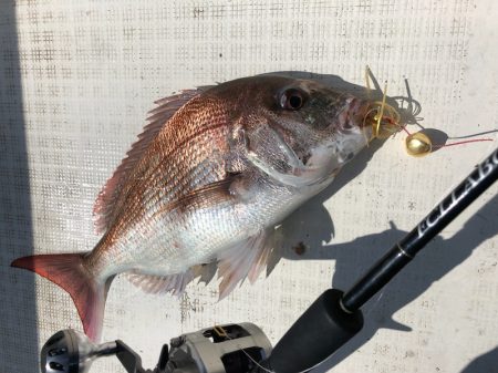 「LaGooN」蒼陽丸 日和号 釣果