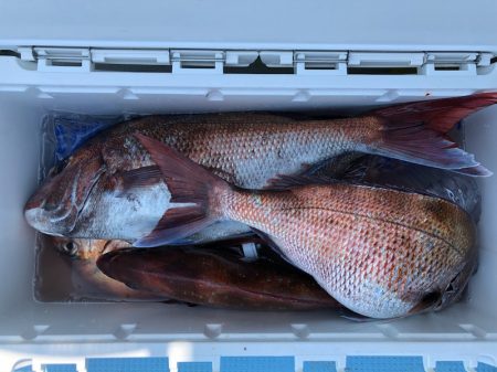 第二八坂丸 釣果