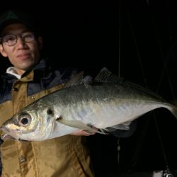 エヌスタイル 釣果