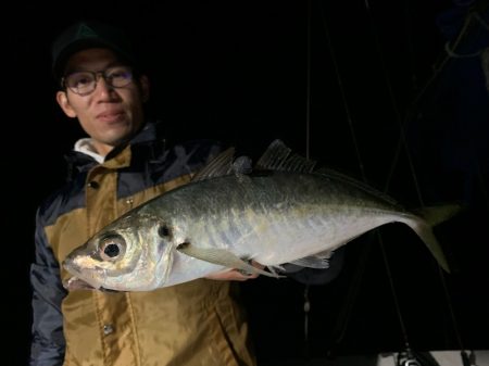 エヌスタイル 釣果