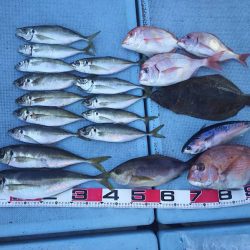 清和丸 釣果