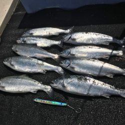 第二 つれたか丸 釣果