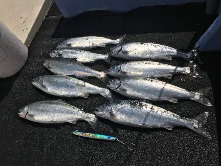 第二 つれたか丸 釣果